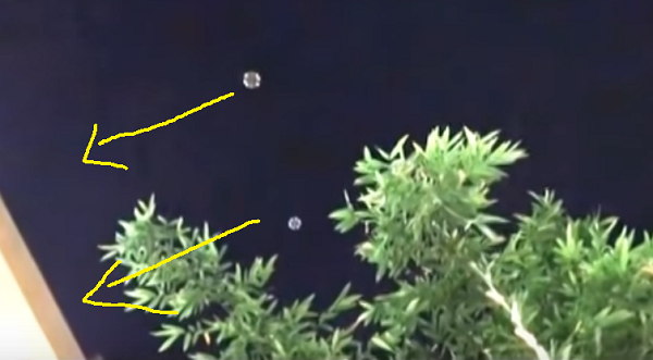 Hai vật thể di chuyển khá êm đềm. Ban đầu là vật thể hình bông hoa nhỏ di chuyển trước về phía Tây Nam, sau đó, vật thể bông hoa lớn di chuyển theo cùng hướng rồi biến mất trước.