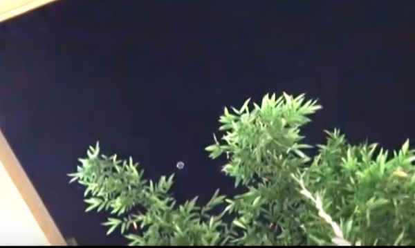 Sau đó cả hai vật thể đều biến mất và nhiều người cho rằng chúng là một bộ đôi hai UFO.