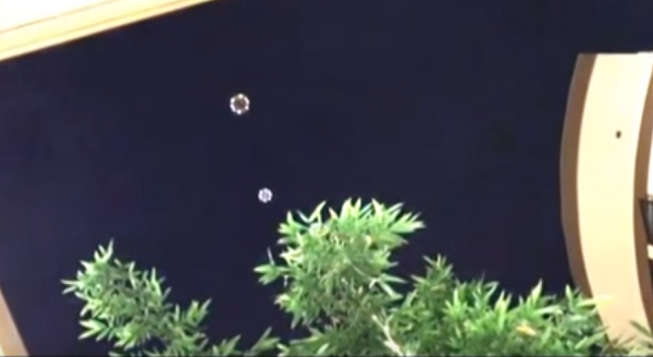 Có hai vật thể lạ hình bông hoa, phát sáng mãnh liệt. Các đốm sáng xếp vòng theo viền vật thể tựa như cánh hoa, phần trung tâm sáng mờ nhạt hơn.