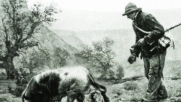 Nấm truffle là một loại đậu quả của một loại nấm ascomycete cộng sinh dưới mặt đất nên có quan hệ liên kết chặt chẽ với rễ cây, chủ yếu là một trong nhiều loài thuộc chi Tuber.