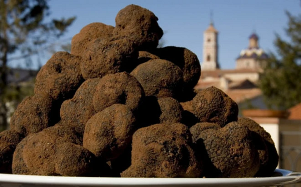 Vậy nên để tìm được truffle, người ta phải huấn luyện chó săn lần theo mùi hương và đào đất. Chính vì điều này mà việc tìm nấm truffle thường hay được ví von như đào vàng, đào kho báu.
