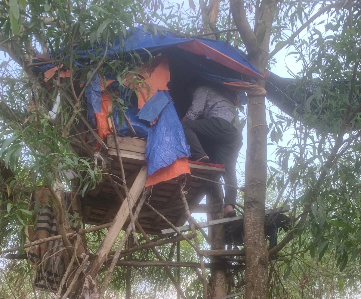 Bóc mẽ chiêu trò nguỵ trang lán trại trên cây để bán ma tuý Boc me chieu tro nguy trang lan trai tren cay de ban ma tuy