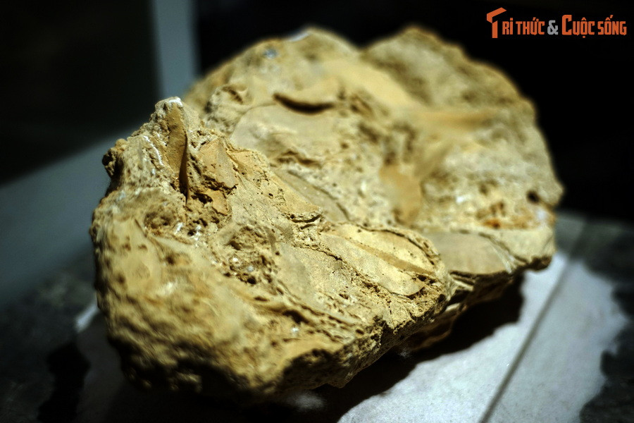 Điều kỳ lạ này liên quan đến đặc tính của đá travertine. Đây là loại đá trầm tích hóa học đặc biệt, được hình thành do sự kết tủa nhanh chóng của khoáng chất tại nơi có nguồn nước phun ra từ lòng đất.