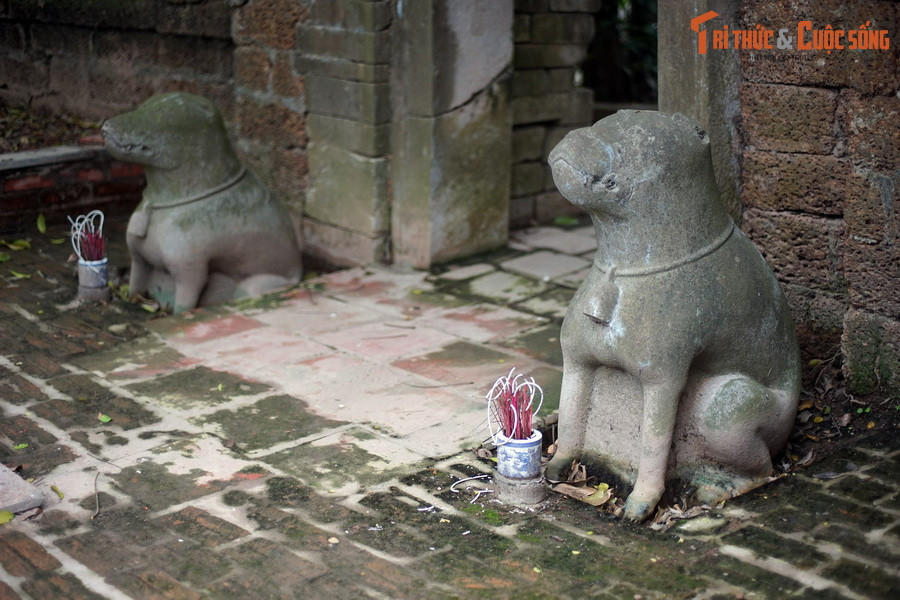 Cụ thể, tượng linh thú gồm nghê ngồi, lân, sấu bò, tượng thú gồm voi nằm, ngựa đứng, chó ngồi... được đặt ở vị trí đối xứng trước khu mộ với vai trò canh giữ, bảo vệ linh hồn người đã khuất. Ảnh: Tượng chó ở lăng Quận công Phạm Mẫn Trực, Hoài Đức, Hà Nội.