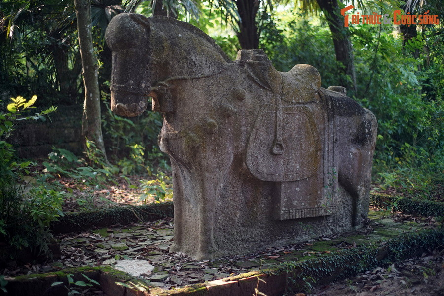 Điều này khẳng định dấu ấn mỹ thuật lăng mộ đã hình thành một cách mạnh mẽ và rõ nét vào thời Lê Trung Hưng, không còn khuôn mẫu giống như ở thời Trần hoặc thời Lê sơ. Ảnh: Tượng ngựa ở lăng Quận Nghi, Đông Sơn, Thanh Hóa.