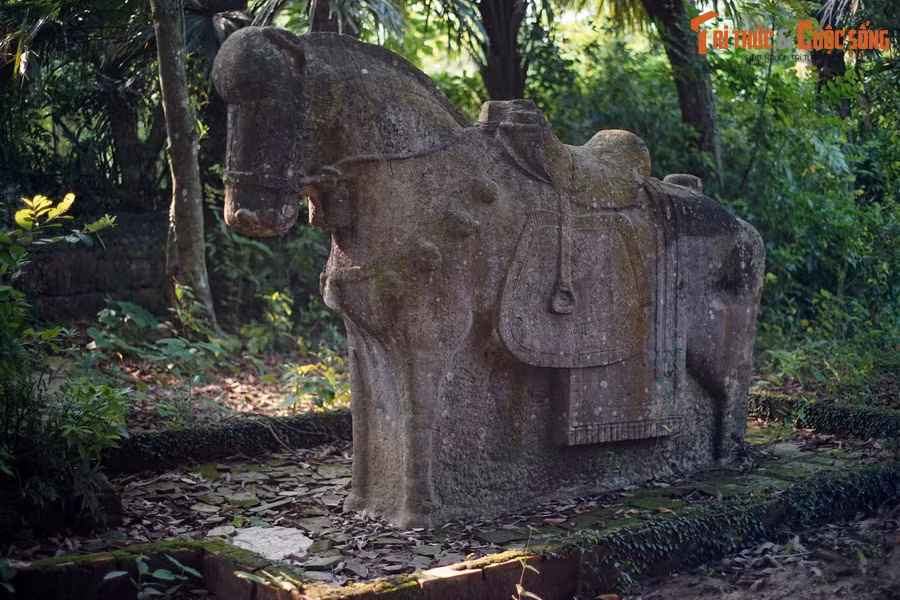 Điều này khẳng định dấu ấn mỹ thuật lăng mộ đã hình thành một cách mạnh mẽ và rõ nét vào thời Lê Trung Hưng, không còn khuôn mẫu giống như ở thời Trần hoặc thời Lê sơ. Ảnh: Tượng ngựa ở lăng Quận Nghi, Đông Sơn, Thanh Hóa.