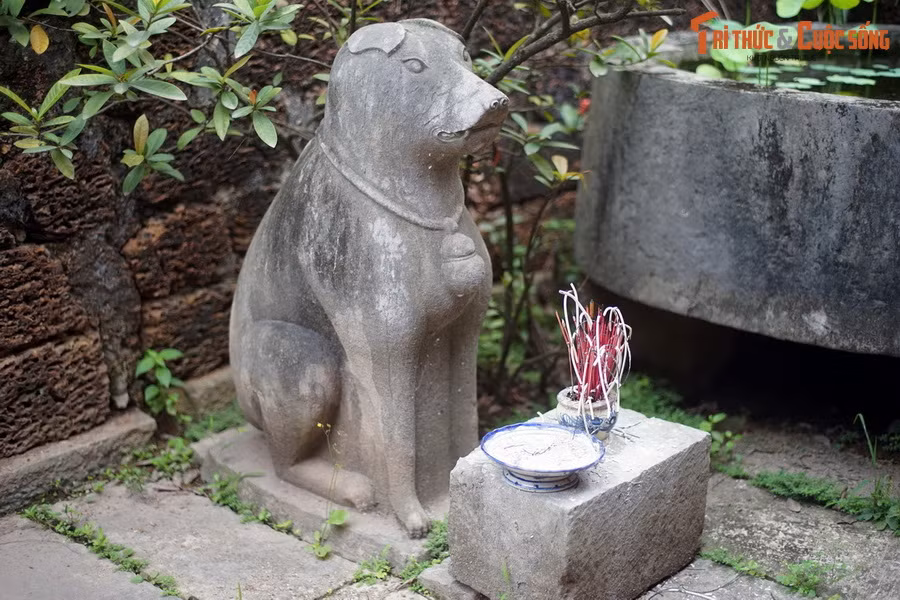 Trải qua hàng trăm năm, dòng nghệ thuật này vẫn còn hiệu hữu một cách cụ thể, không trùng lặp về hình thức, nội dung, ý nghĩa với bất cứ loại hình nghệ thuật tượng tròn nào khác trong cả chiều dài của nền nghệ thuật tượng cổ gắn với truyền thống, dân tộc. Ảnh: Tượng chó ở lăng Quận công Phạm Đôn Nghị, Hoài Đức, Hà Nội.