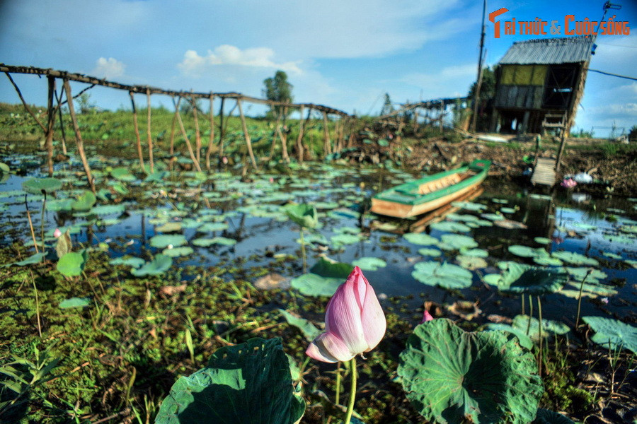 Trong cuốn sách “Vùng Đồng Tháp Mười” (NXB Văn Hóa - Văn Nghệ, 2019), tác giả Nguyễn Hữu Hiếu đã đưa ra bốn giả thuyết lưu truyền trong dân gian về tên gọi Đồng Tháp Mười.
