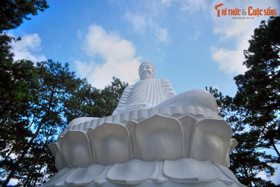 Phía sau chùa có một đồi thông rộng lớn, cảnh quan khoáng đạt. Trên đỉnh đồi có pho tượng Phật Thích Ca đang tọa thiền trên đài sen đồ sộ, cao trên 10 mét. 