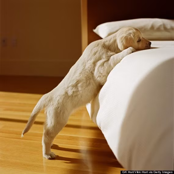 Meo giup nha cua ban mat me hon trong nhung ngay nang nong-Hinh-4