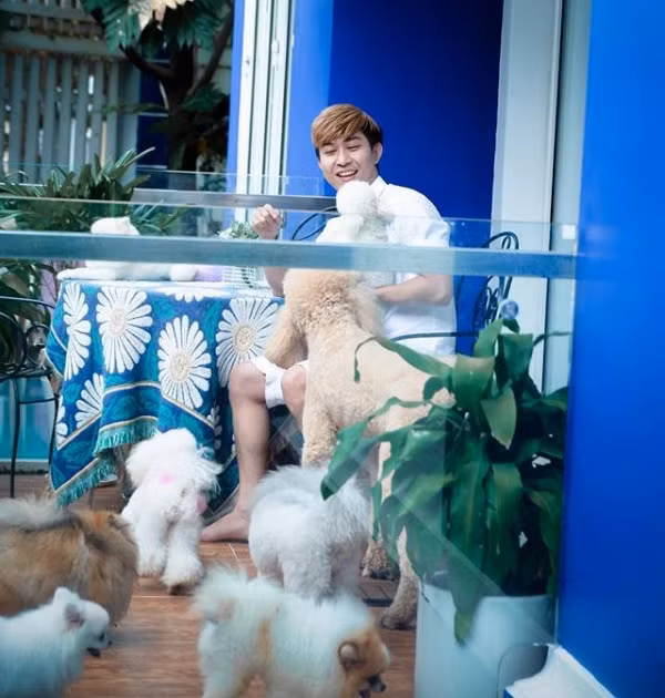 Bi an dan thu cung trieu do cac sao Viet dang so huu-Hinh-6