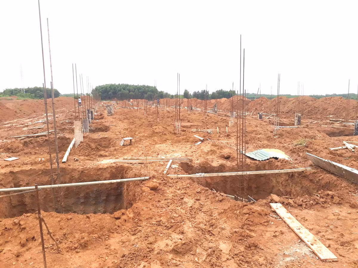 “Chau Au thu nho” thanh bai tha de-Hinh-6