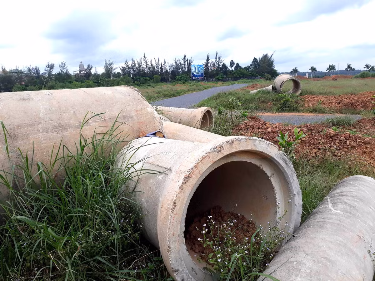 “Chau Au thu nho” thanh bai tha de-Hinh-2