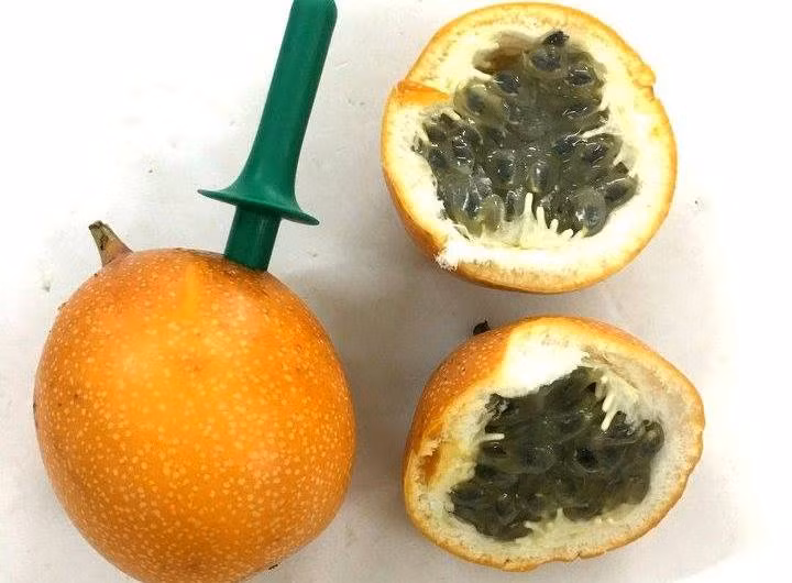 Muc khong lo Hong Kong, chanh leo Colombia: An vat khac nguoi-Hinh-2