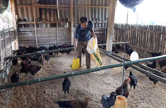 17 nam chiu canh “gioi hanh” bien doi hoang thanh trang trai bac ty-Hinh-2