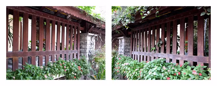 Hàng rào xung quanh cũng vậy.