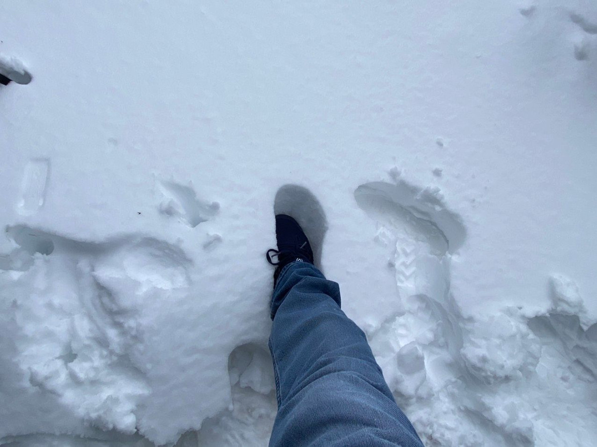 Chỉ sau sau 2 ngày tuyết rơi từ hôm qua (8/2), tuyết đã rơi dày khoảng 10cm trên đỉnh núi cao nhất.