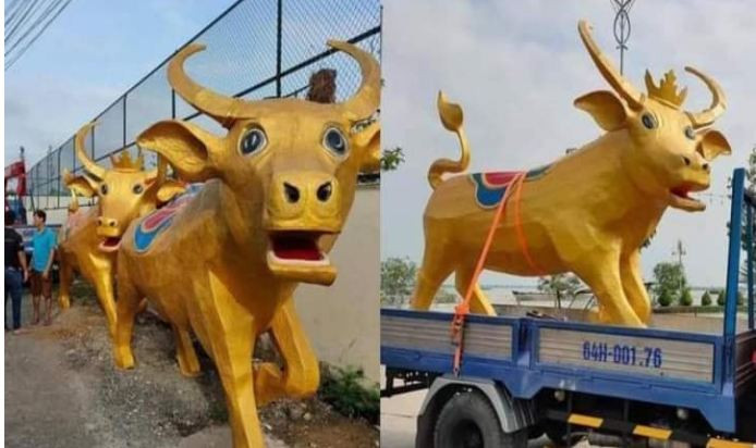 Như một "đặc sản" mỗi dịp Tết đến xuân về, nhiều linh vật trâu của năm nay được dân tình chia sẻ rộng rãi trên mạng xã hội. (Ảnh trâu ở Vĩnh Long). 