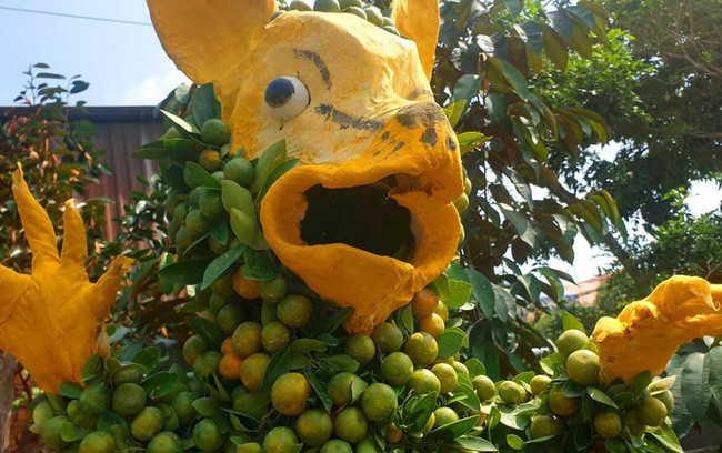 Sự hốt hoảng trên khuôn mặt của chú chuột vàng này khiến nhiều người bật cười khi nhìn thấy. 