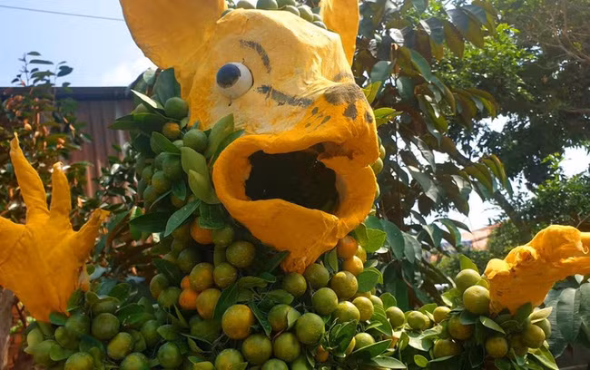 Sự hốt hoảng trên khuôn mặt của chú chuột vàng này khiến nhiều người bật cười khi nhìn thấy. 