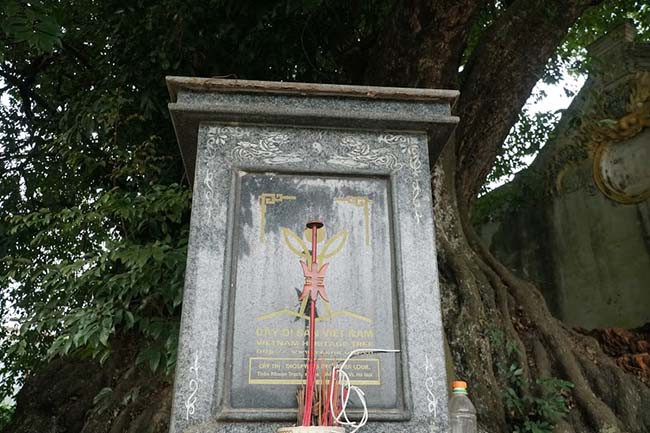 Cũng theo người dân trong vùng, cây thị cổ này rất linh thiêng, người dân nơi đây mỗi khi muốn làm việc lớn đều đến thắp hương "xin phép" cây thị đều được "thuận buồm xuôi gió". 