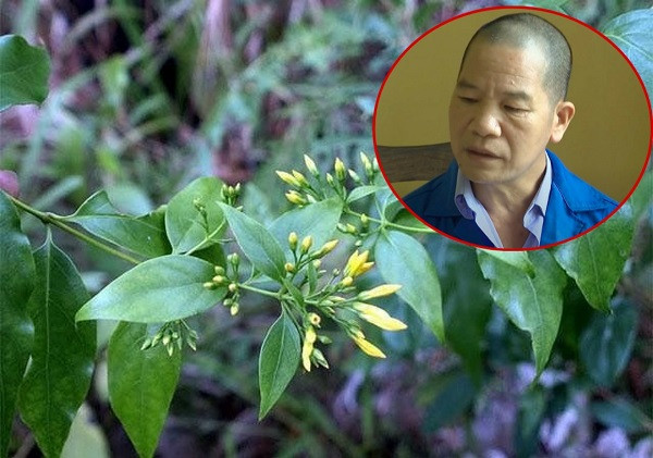 Ly ky hanh trinh pha vu an dung la ngon dau doc 5 nguoi-Hinh-2