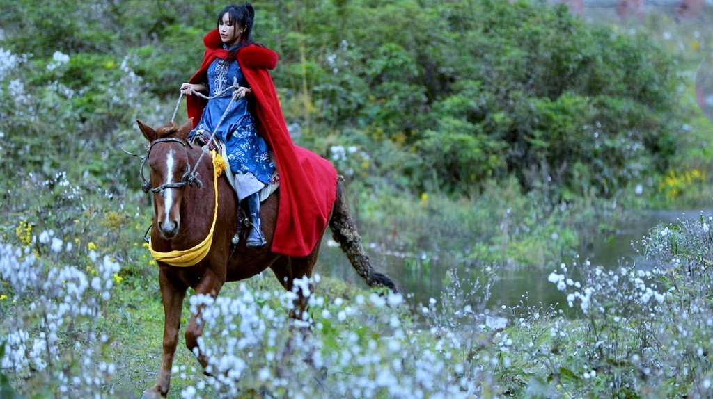 Ly Tu That That va Gia