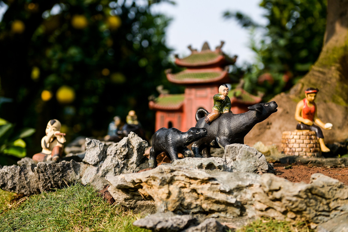 Tiểu cảnh dưới gốc bưởi gợi nhớ vẻ đẹp dung dị và yên bình của làng quê.