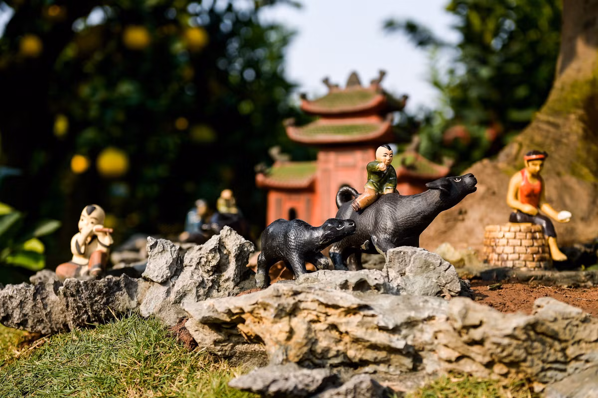 Tiểu cảnh dưới gốc bưởi gợi nhớ vẻ đẹp dung dị và yên bình của làng quê.