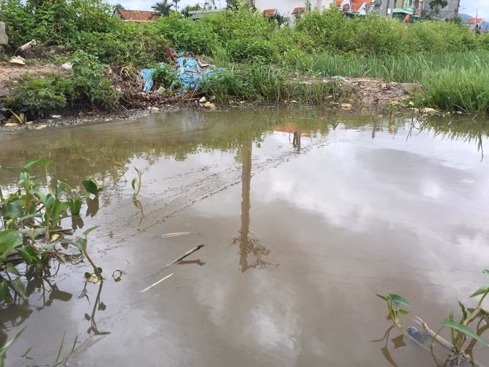 Quang Ninh: Dau tran theo nuoc mua xuong dong ruong, dan buc xuc-Hinh-9