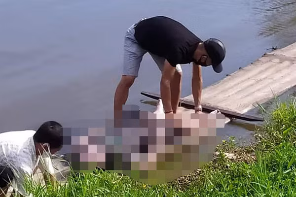  Nam thanh niên đi câu cá một mình tử vong: Sáng 27/5, Trần Thanh H (SN 2001, trú tại xóm 12, xã Xuân Vinh, huyện Xuân Trường, tỉnh Nam Định) đi câu cá một mình ở cống Nam Điền B trên địa bàn tử vong. Vào khoảng 9h ngày 28/5, cơ quan chức năng và người dân đã phát hiện thi thể nạn nhân nổi trên mặt nước. Sau đó, chính quyền địa phương đã làm các thủ tục cần thiết để bàn giao thi thể cho gia đình thực hiện mai táng. 