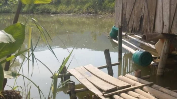  2 trẻ mầm non đuối nước tại ao của gia đình: Sáng 25/5, hai cháu L. V. A. (SN 2016) và L. H. H. (SN 2018) là anh em trong một gia đình, cùng trú tại huyện Mường Ảng (tỉnh Điện Biên) theo bố và bà đi gặt lúa. Đến trưa cùng ngày, bố và bà nhắc 2 em về nhà trước. Đến khoảng thời gian trên xong việc, bố và bà 2 em về đến nhà thì phát hiện sự việc đau lòng trên.