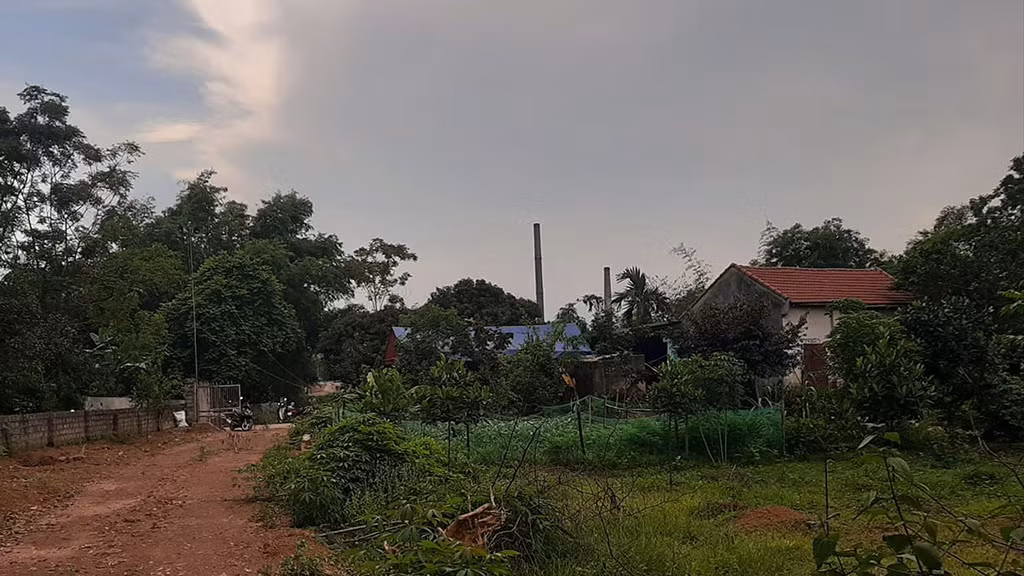 Kinh hoang nhung vu thanh toan, giai quyet mau thuan bang sung dan-Hinh-2