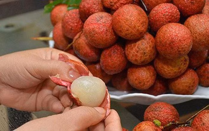  Bé trai 4 tuổi tử vong do ăn quả vải bị hóc hạt: Cháu Mai Huy K. (4 tuổi, trú xã Hậu Thành, huyện Yên Thành, Nghệ An) ở nhà với người thân rồi tự lấy quả vải để bóc ăn. Trong lúc ăn quả vải, cháu K. không tách bóc hạt ra mà chỉ tách bóc vỏ vải dẫn đến cháu K. bị hóc hạt vải dẫn đến tử vong. Ngày 20/5, UBND xã Hậu Thành cho biết, sau khi xảy ra vụ việc UBND xã Hậu Thành đã đến thăm viếng, động viên người thân, gia đình cháu K. (Ảnh minh họa) 