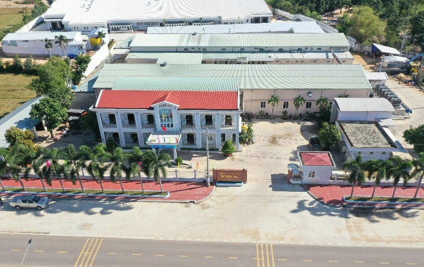 Giai thuong Vifotec 2020: Hieu qua kinh te mang lai tu To hop lai tao giong ga noi