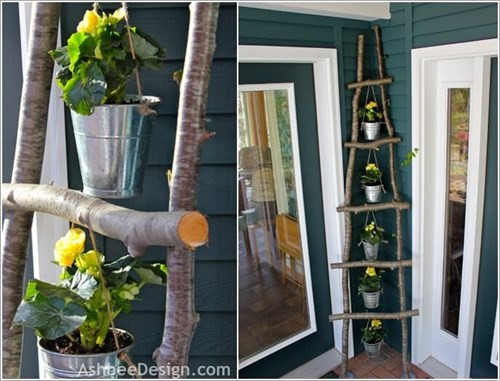 Treo cây cảnh trên thang.