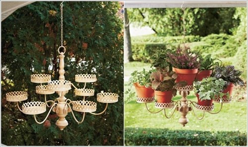 Tận dụng một chiếc đèn trùm hoặc giá nến cỡ lớn để thiết lập một vườn treo độc đáo.