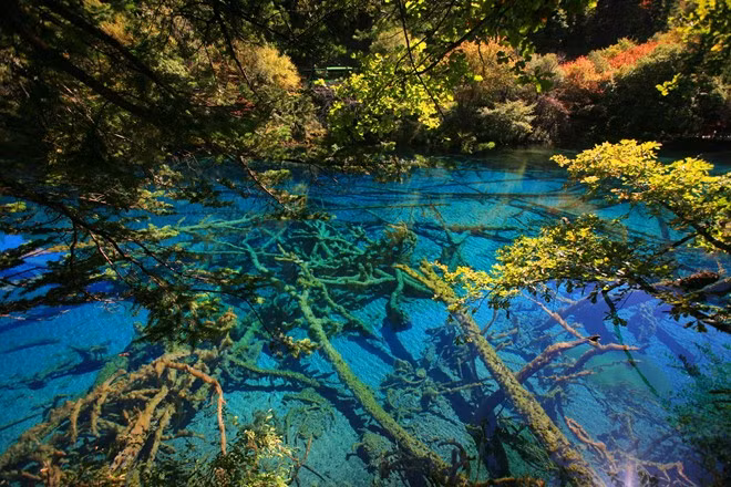 Du khách có thể lựa chọn hành trình tới Cửu Trại Câu vào mùa thu để thưởng lãm tuyệt tác mà thiên nhiên ban tặng cho con người. Ảnh: Ifeng.