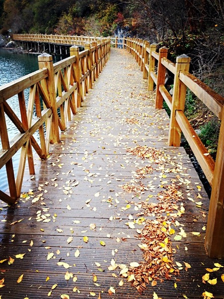 Giá vé vào cổng là 220 NDT (khoảng 770.000 đồng), và vé xe bus tham quan các điểm là 90 NDT (khoảng 300.000 đồng). Khách du lịch thường mua cả 2 vé này vì diện tích bên trong rất lớn, đi bộ tham quan không thể đi hết các địa điểm trong ngày. Ảnh: Baike.