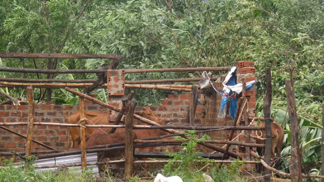 Loc xoay kinh hoang tai Quang Binh-Hinh-6