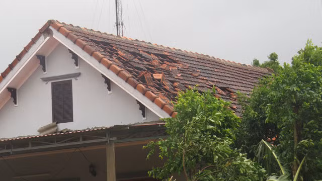 Loc xoay kinh hoang tai Quang Binh-Hinh-3