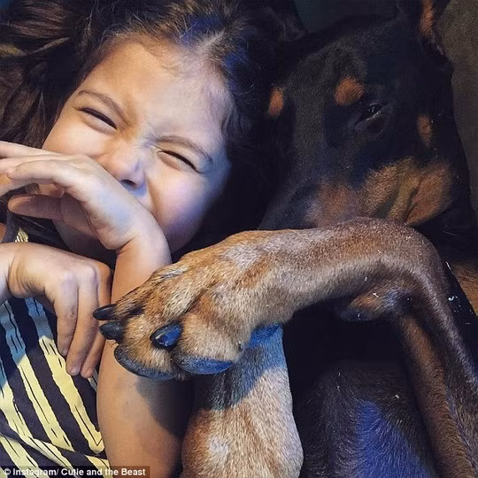 Gia đình em bé thiên thần Prucha đón Buddha về hồi năm 2013 khi chú còn là một "chú bé"