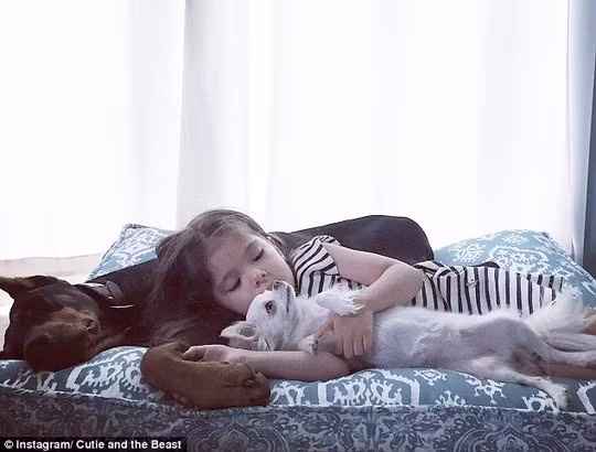 Ngay cả lúc ngủ cũng quấn quýt