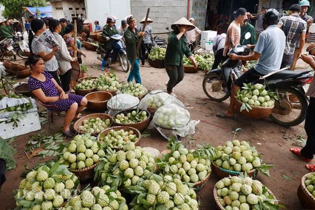 Hinh anh an tuong trong cho na lon nhat mien Bac