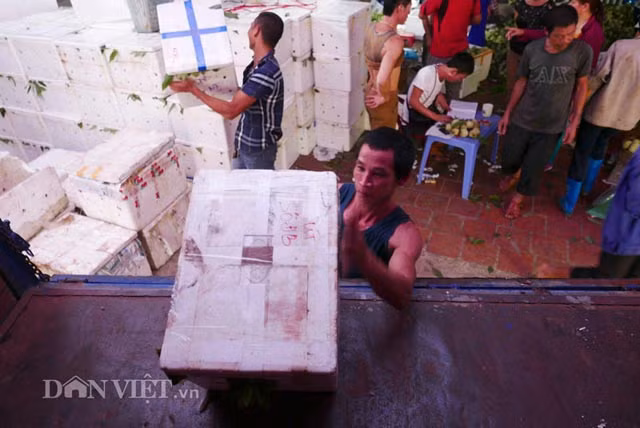 Na Đồng Bành được đóng vào các thùng xốp, lót giấy báo cẩn thận, rồi được vận chuyển. Trong đó na có chất lượng tốt vào loại nhất nhì đều được các thương lái Trung Quốc thu mua khá nhiều.