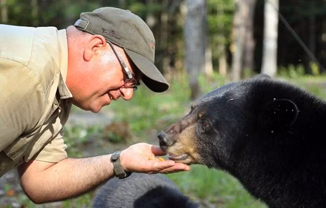 Người đàn ông Canada tên Richard Goguen tỏ ra không hề sợ hãi khi vui chơi cùng đàn gấu xám của mình. Goguen khẳng định giữa ông và chúng có một sự kết nối sâu sắc.