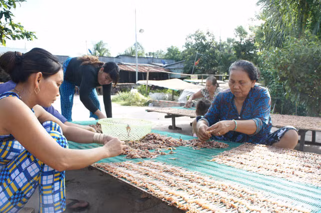 Công đoạn phơi "vũ nữ chân dài" rất công phu.
