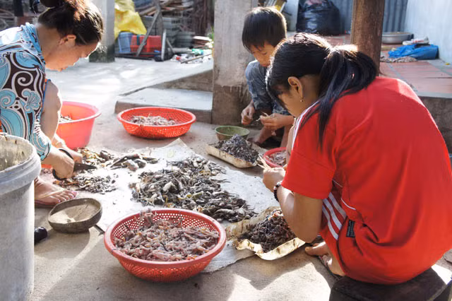 Trong khâu soi nhái (chỉ làm ban đêm), mỗi người trung bình bắt được từ 3 – 7 kg nhái mỗi đêm, theo giá hiện tại bán được 25.000 – 30.000 đồng/kg. Ở khâu lột nhái, người làm được trả công 7.000 đồng cho mỗi kg nhái làm sạch. Giá bán sỉ khô nhái tại đây hiện nay từ 220.000 – 250.000 đồng/kg. Tham gia làm thịt nhái đa số là phụ nữ và trẻ em, chỉ cần có đôi tay nhanh nhẹn, trong buổi sáng có thể kiếm được từ 30.000 – 50.000 đồng.