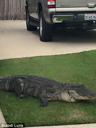 Sau đó nó tiền vào một khu dân cư ở LaPlace.