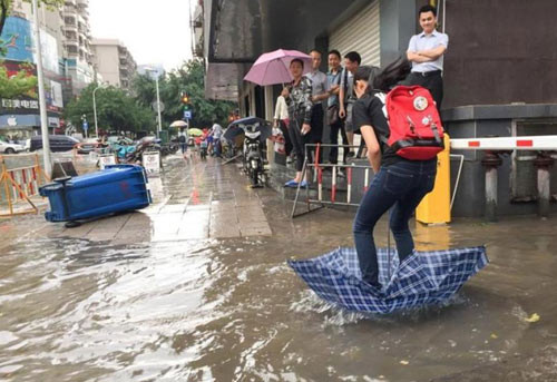 Thử xem ô có phải là vật đa phương tiện như người ta quảng cáo.